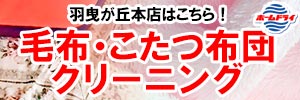 会員様限定 毛布・こたつ布団 クリーニングセール（羽曳が丘本店をご利用のお客様）［セール期間：2025年6月1日（日）～ 2025年6月30日（月）